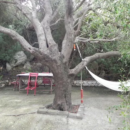 לינה וארוחת בוקר S'archiotta